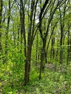 Nnn Woodchuck Trail, Cushing, MN 56443