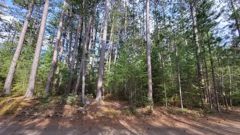 Tbd 3.8 Genore Trail, Orr, MN 55771