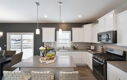1609 Upper 143rd St E, Rosemount, MN 55068
