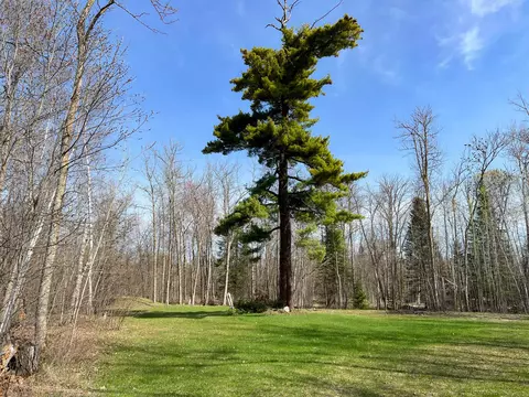 51584 Warbler Dr, Farden Twp, MN 56601