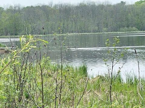1501 Pine Mountain Lake Rd NW, Backus, MN 56435 photo 11