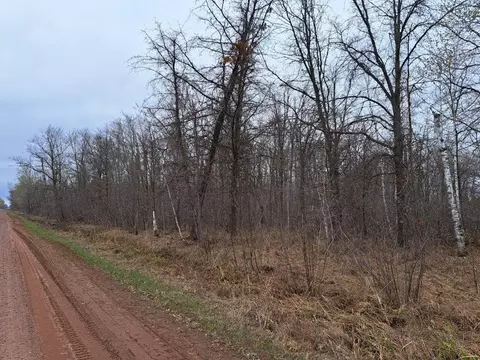 Nnnn Cedar Creek Road, Munch Twp, MN 55037