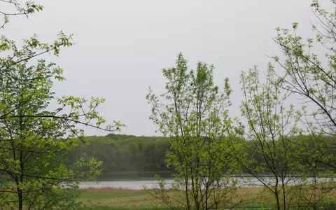 1649 Baker Park Rd, Maple Plain, MN 55359 photo 6