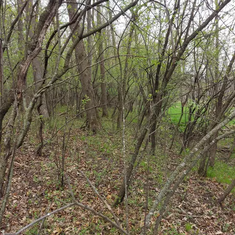 Nnn Harrison Avenue, Amery, WI 54001