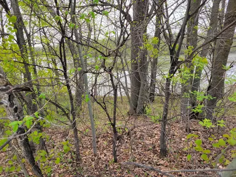 000 476th, Scambler Twp, MN 56572
