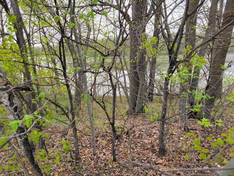 000 476th, Scambler Twp, MN 56572