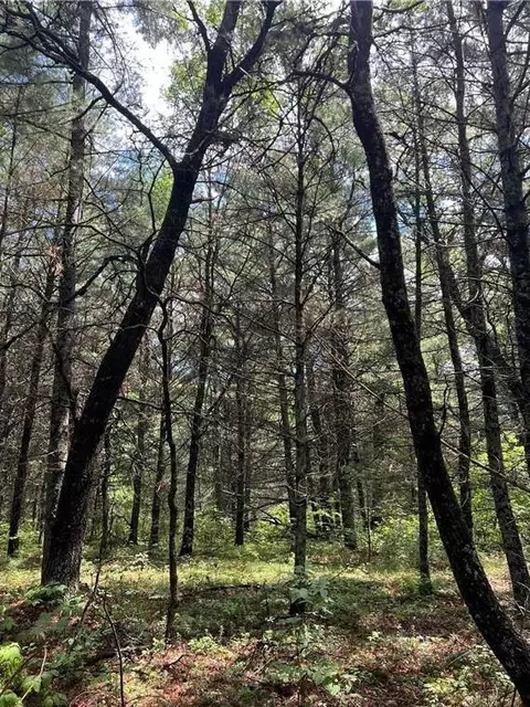 24642 Mclain Rd, Grantsburg, WI 54840