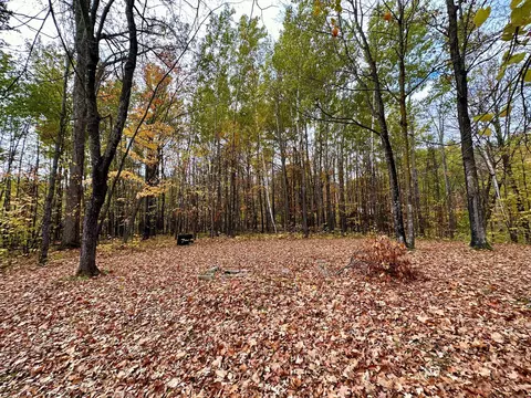 7990 Treefrog Dr NW, Walker, MN 56484 photo 31
