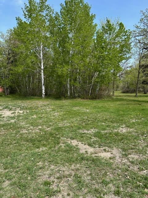 325 Robson Ct, Thief River Falls, MN 56701
