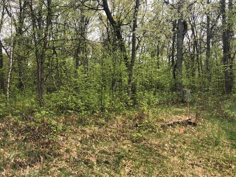 Tbt Pawnee Circle, Breezy Point, MN 56472