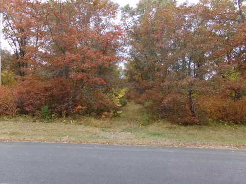 Tbd Biller Loop, Solon Springs Twp, WI 54873