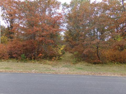 Tbd Biller Loop, Solon Springs Twp, WI 54873