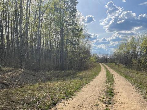 Tbd Us 71 Highway, Park Rapids, MN 56470