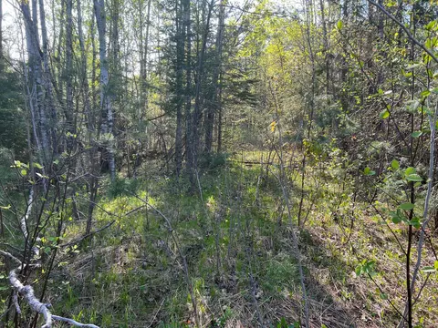 Xyz County Highway 61, Dell Grove Twp, MN 55037