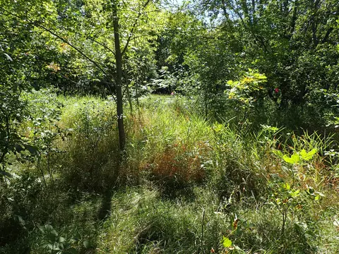 Nnn 65th Street Sw, Howard Lake, MN 55349