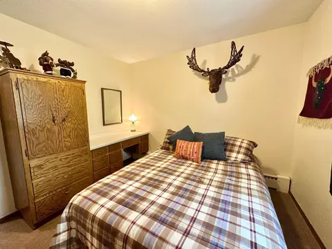 113 Summit Ave E, Walker, MN 56484 photo 43