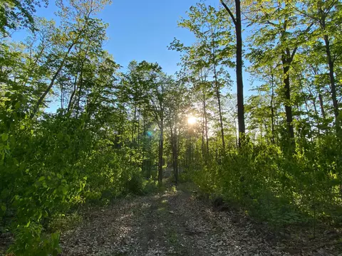 56872 Rutabaga Rd, Fleming Twp, MN 55704