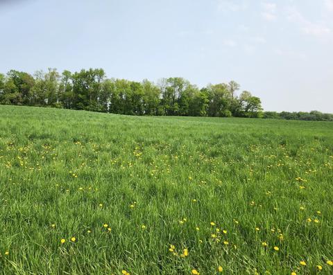 Tbd 188th Avenue, Wakefield Twp, MN 56368