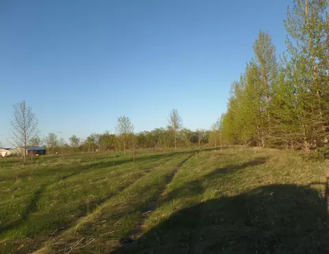 35 Nnn Freedom Flyer Trl, Hobart Twp, MN 56587