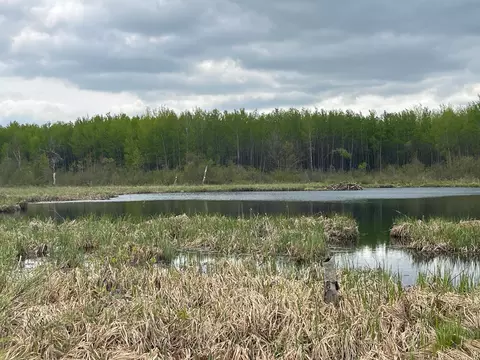 Xxb Swanson Road, Askov, MN 55704