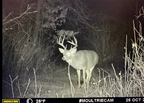 tbd Hwy 227, Sebeka, MN 56477