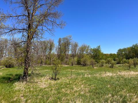 Nnn State 210, Staples Twp, MN 56479