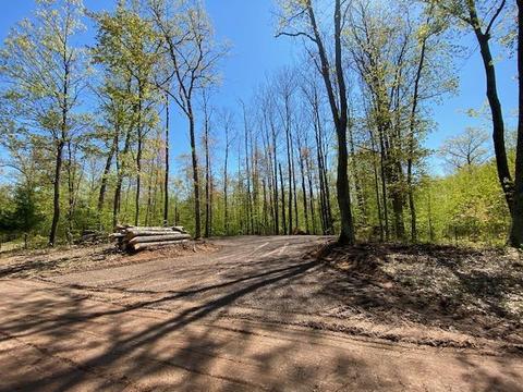 29246 Honker Hollow Rd, Scott Twp, WI 54830