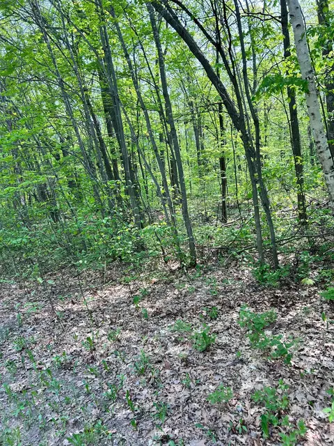 Nnn Lost Lake Trail, Cushing, MN 56443