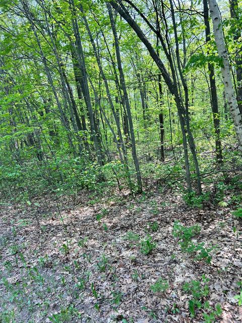 Nnn Lost Lake Trail, Cushing, MN 56443
