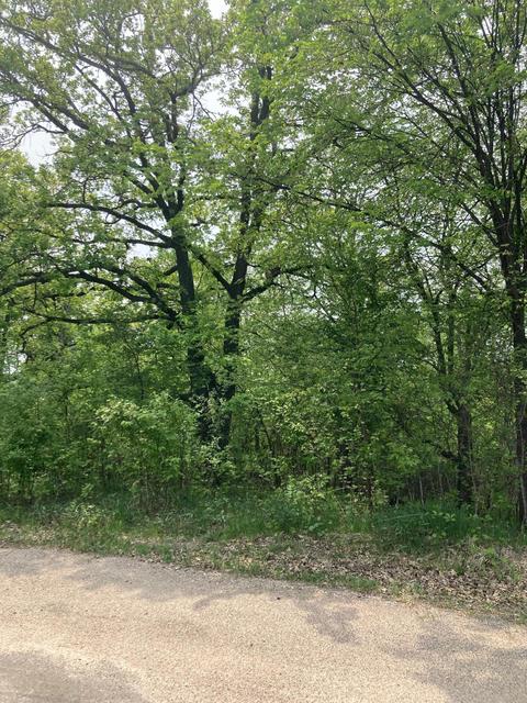 Nnn Westwood Drive, Battle Lake, MN 56515