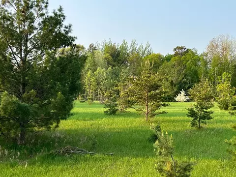 Tbd Evenson Road, Pequot Lakes, MN 56472