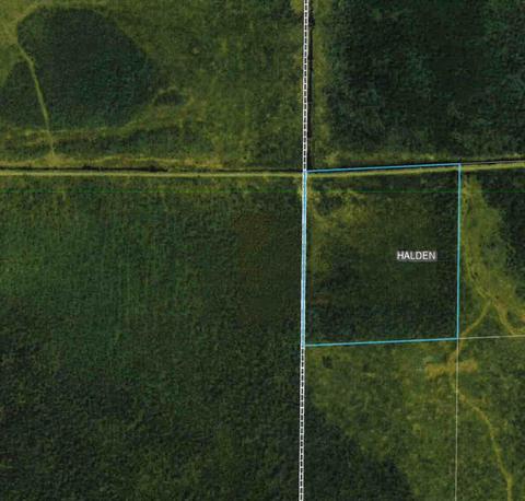 35 Ac Hedbom Forest Rd, Floodwood, MN 55736