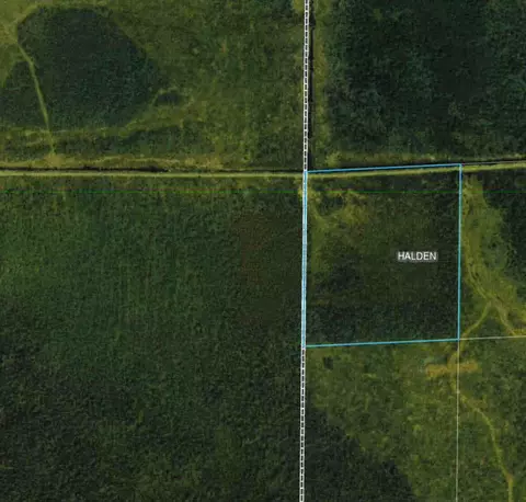 35 Ac Hedbom Forest Rd, Floodwood, MN 55736