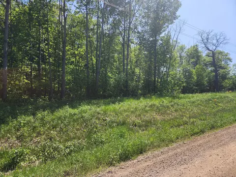20849 Fitz Rd, Burnhamville Twp, MN 56318