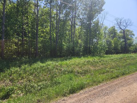 20849 Fitz Rd, Burnhamville Twp, MN 56318