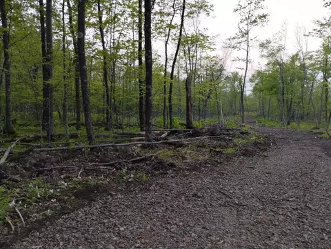 Lot A Ironwood Avenue, Hillman Twp, MN 55051