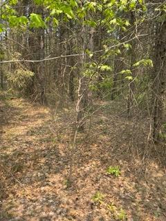 10 Nnn 420th St, Sunrise Twp, MN 55032
