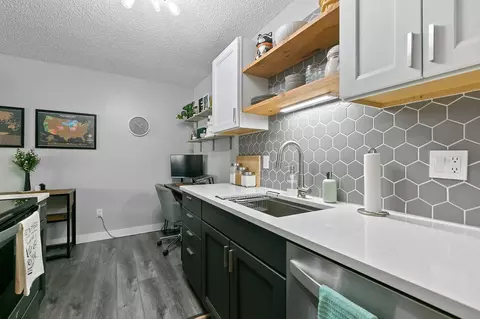 1225 Lasalle Ave #1103, Minneapolis, MN 55403
