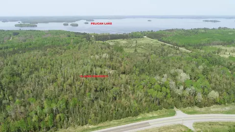 11587 Nett Lake Rd, Orr, MN 55771