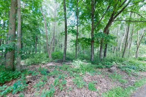 East 13+ Acres 29 1/4 Avenue, Rice Lake, WI 54868