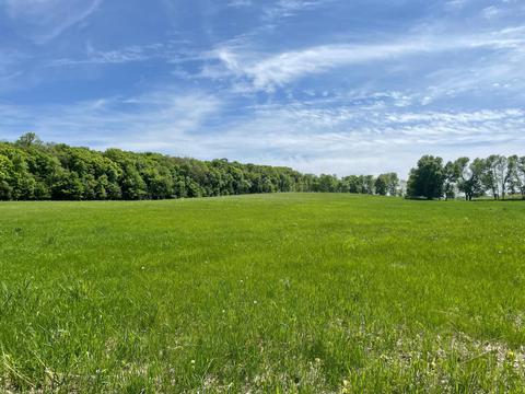Nnnn Edgewater Lane, Little Sauk Twp, MN 56347
