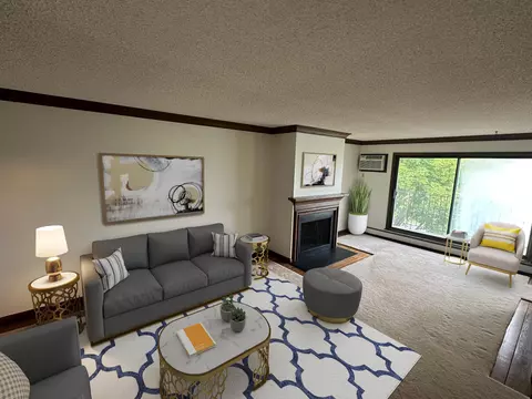 215 Barry Ave S #317, Wayzata, MN 55391