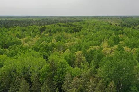 Tbd Town Rd. 55, Big Falls, MN 56627