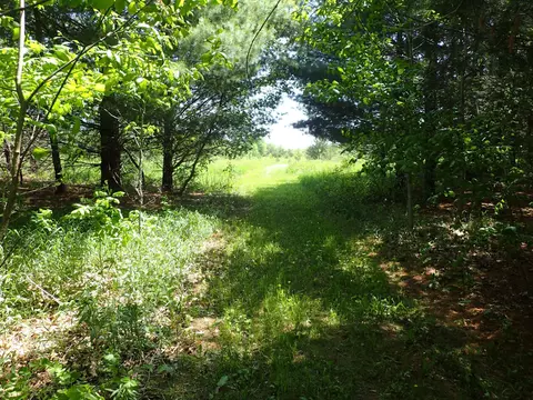 Xxx63.6 Blackwood Avenue Nw, Monticello, MN 55362