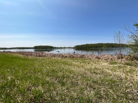 Lot 2, Scambler Twp, MN 56572