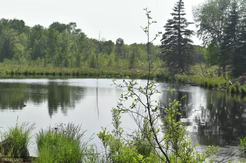 33469 Pine Cone, Hinckley, MN 55037