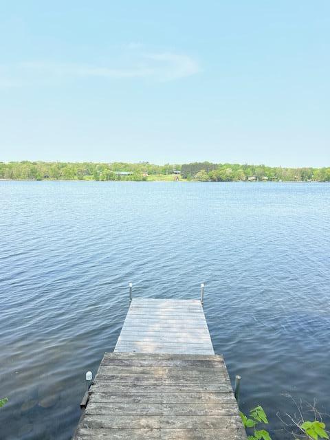 25723 Hunter Trl, Long Prairie, MN 56347