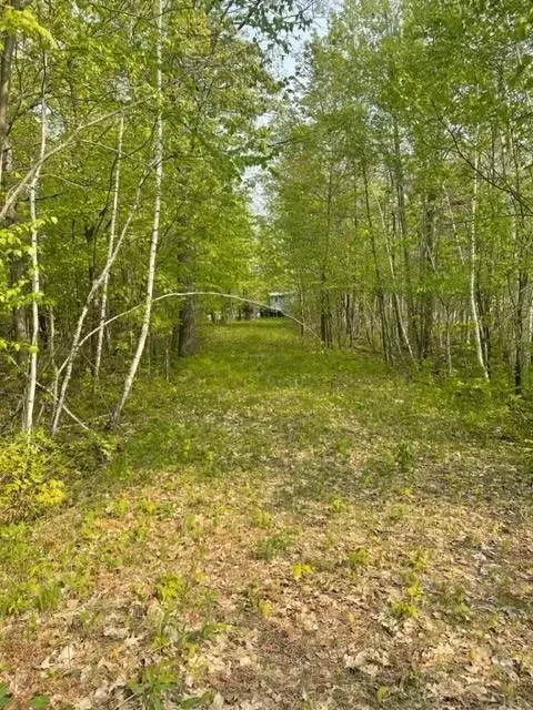 1888 Trillium Dr NW, Hackensack, MN 56452 photo 8
