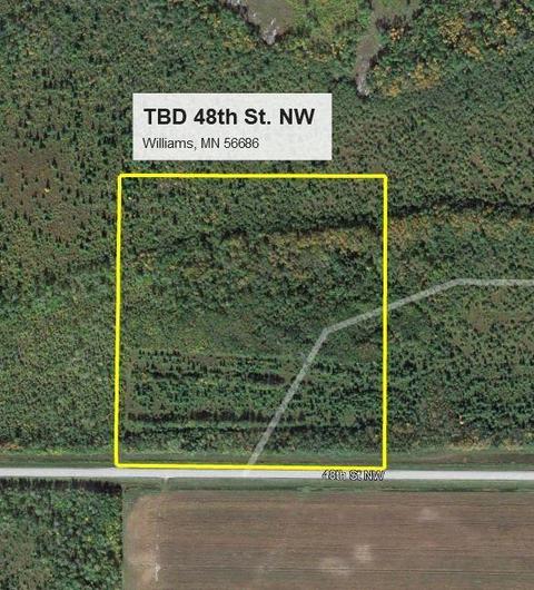 Tbd 48th Street Nw, Williams, MN 56686