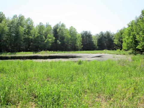 00 Old 35, Webster, WI 54893